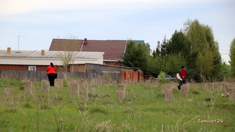 Суп сами с усами